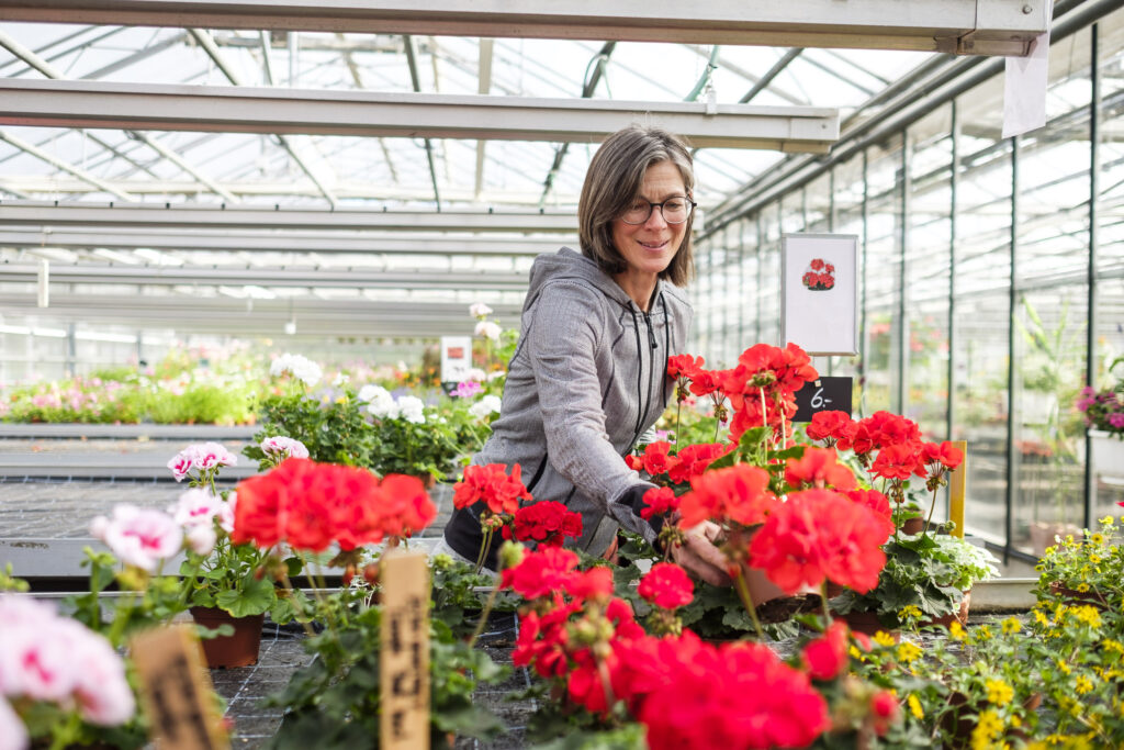 Götschihof Gärtnerei