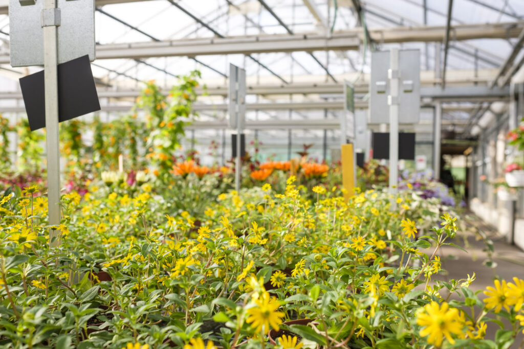 Götschihof Gärtnerei