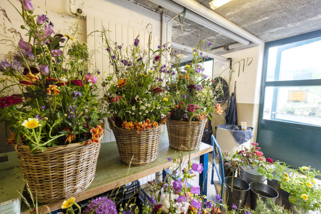 Götschihof Gärtnerei Laden