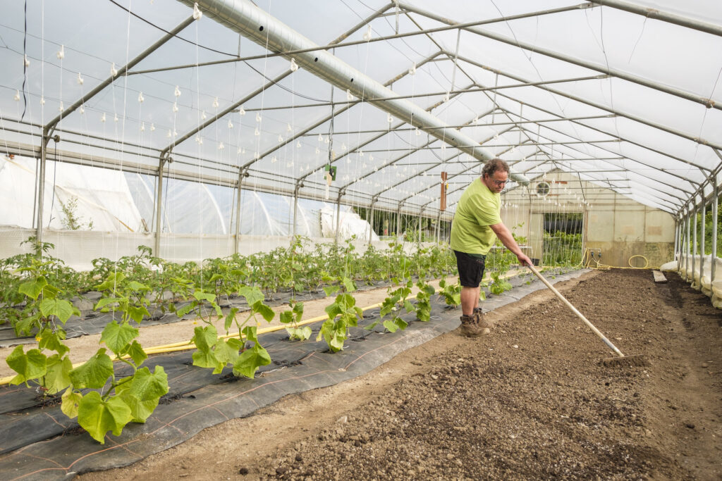 Götschihof Gärtnerei