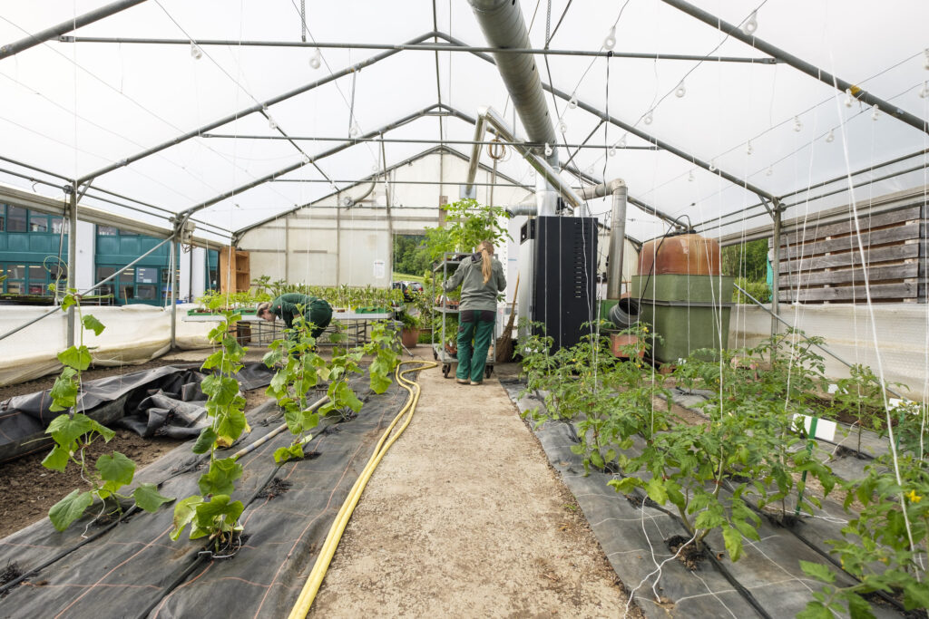 Götschihof Gärtnerei