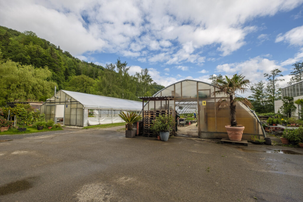 Götschihof Gärtnerei