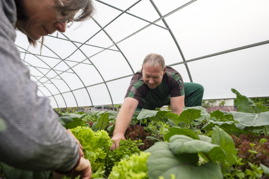 Götschihof Gärtnerei